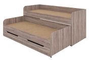 Двухъярусная выдвижная кровать Belvar-4 (197,2 &times; 83,4 &times; 86,5 см, трюфель) ph-dt-lgk-sn5-trfl фото